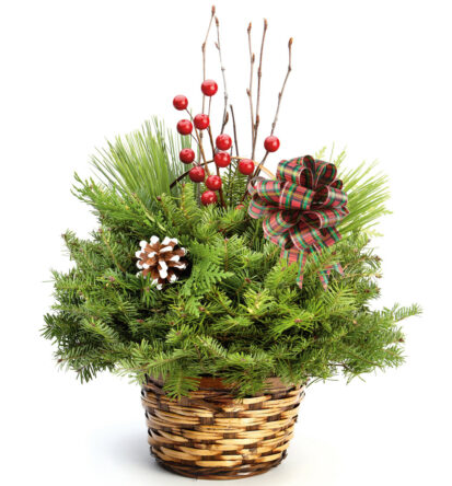 Holiday Greens Sale -ORDER BY NOV 6